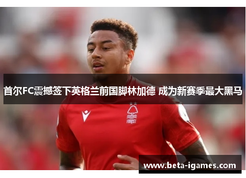 首尔FC震撼签下英格兰前国脚林加德 成为新赛季最大黑马 首尔FC震撼签下英格兰前国脚林加德 成为新赛季最大黑马